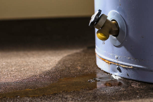 Best Water damage restoration near me  in Fifth Street, TX