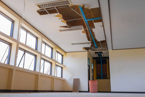 Best Flood restoration services  in Fifth Street, TX