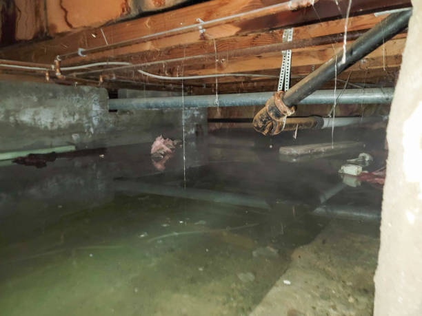 Reliable Fifth Street, TX Water damage restoration Solutions