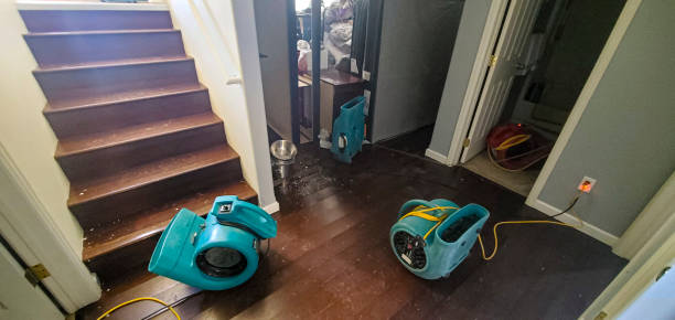 Best Carpet water damage restoration  in Fifth Street, TX