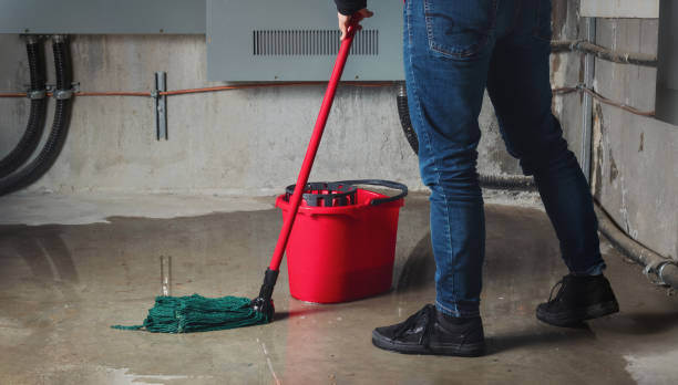 Best Water damage restoration near me  in Fifth Street, TX