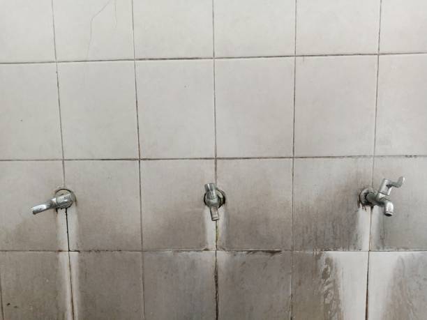 Best Water damage cleanup near me  in Fifth Street, TX