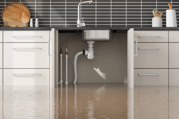 Best Fire Damage Restoration  in Fifth Street, TX
