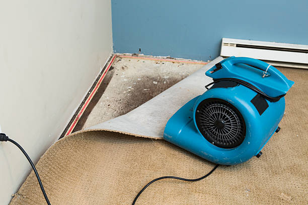 Best Residential water damage restoration  in Fifth Street, TX